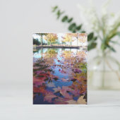 紅葉 ポストカード (スタンド正面)