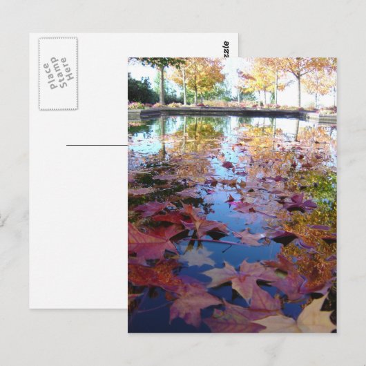 紅葉 ポストカード (正面/裏面)