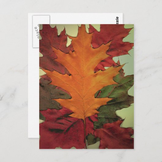 紅葉 ポストカード (正面/裏面)