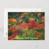 紅葉 ポストカード (正面/裏面)