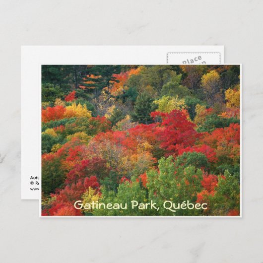 紅葉 ポストカード (正面/裏面)