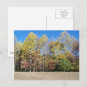 紅葉 ポストカード (正面/裏面)