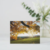 紅葉 ポストカード (スタンド正面)