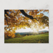 紅葉 ポストカード (正面)