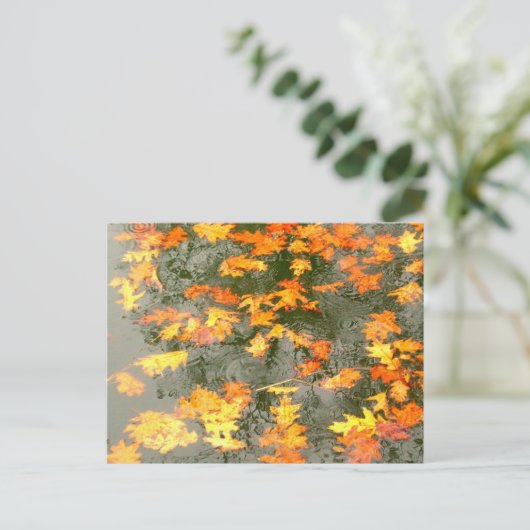 紅葉 ポストカード (スタンド正面)