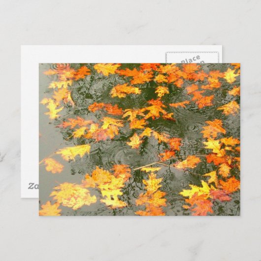 紅葉 ポストカード (正面/裏面)