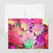 紅葉 ポストカード (正面/裏面)