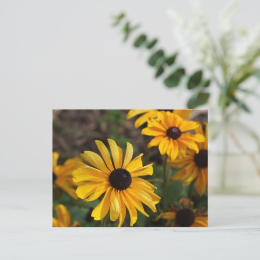 紅葉 ポストカード (スタンド正面)