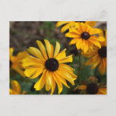 紅葉 ポストカード (正面)