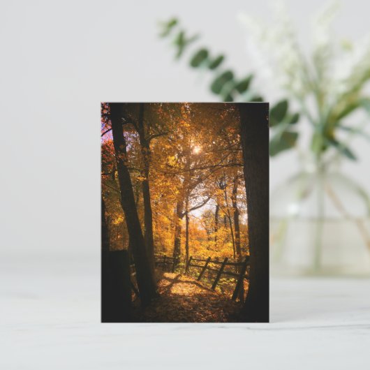 紅葉 ポストカード (スタンド正面)