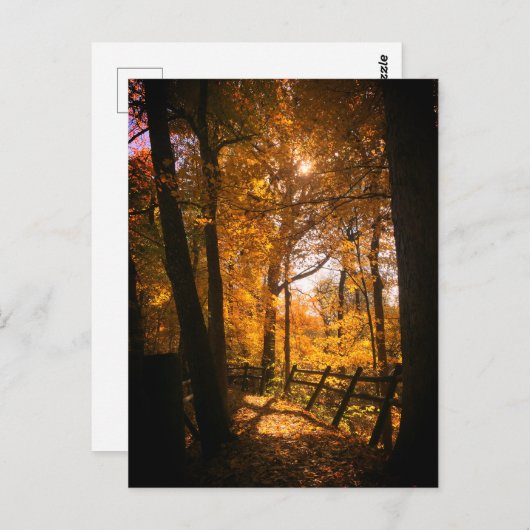 紅葉 ポストカード (正面/裏面)