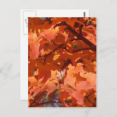紅葉 ポストカード (正面/裏面)