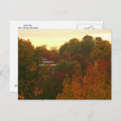 紅葉 ポストカード (正面/裏面)