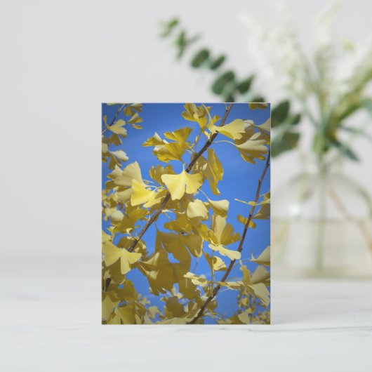 紅葉 ポストカード (スタンド正面)