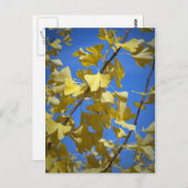 紅葉 ポストカード (正面/裏面)