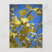 紅葉 ポストカード (正面)