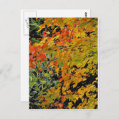 紅葉 ポストカード (正面/裏面)