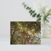 紅葉 ポストカード (スタンド正面)