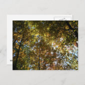 紅葉 ポストカード (正面/裏面)