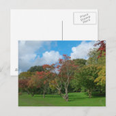 紅葉 ポストカード (正面/裏面)