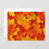 紅葉 ポストカード (正面/裏面)