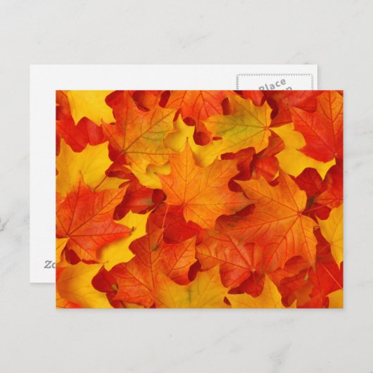 紅葉 ポストカード (正面/裏面)