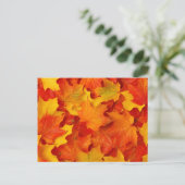 紅葉 ポストカード (スタンド正面)