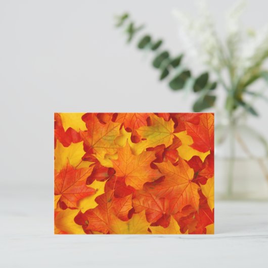 紅葉 ポストカード (スタンド正面)