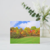 紅葉 ポストカード (スタンド正面)