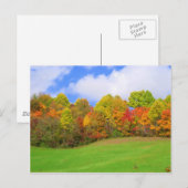 紅葉 ポストカード (正面/裏面)