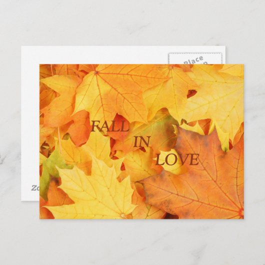 紅葉 ポストカード (正面/裏面)