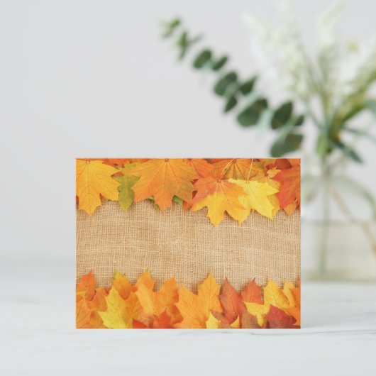 紅葉 ポストカード (スタンド正面)