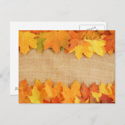 紅葉 ポストカード (正面/裏面)