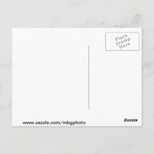 紅葉 ポストカード (裏面)