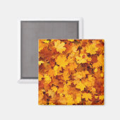 紅葉 マグネット (正面/裏面)