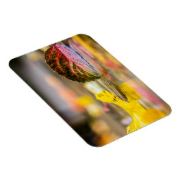 紅葉 マグネット