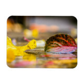 紅葉 マグネット (横)