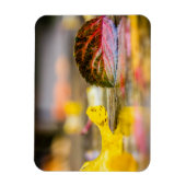 紅葉 マグネット (縦)