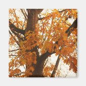 紅葉 マグネット (正面)