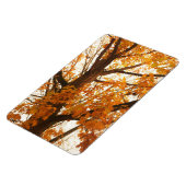 紅葉 マグネット (左側)