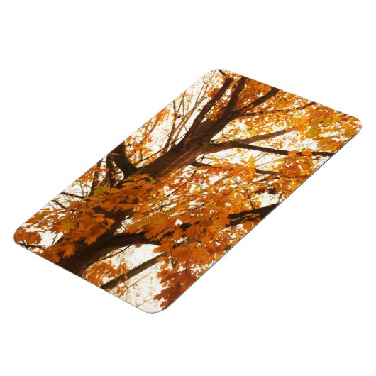 紅葉 マグネット (左側)