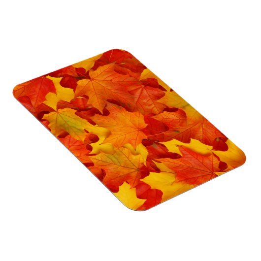 紅葉 マグネット (右側)