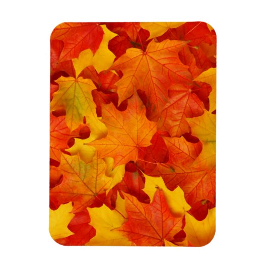 紅葉 マグネット (縦)