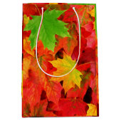紅葉 ミディアムペーパーバッグ (正面)