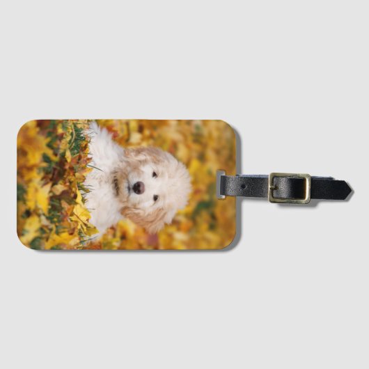 紅葉 ラゲッジタグ (正面横)