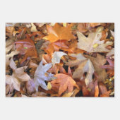 紅葉 ラッピングペーパーシート (正面3)