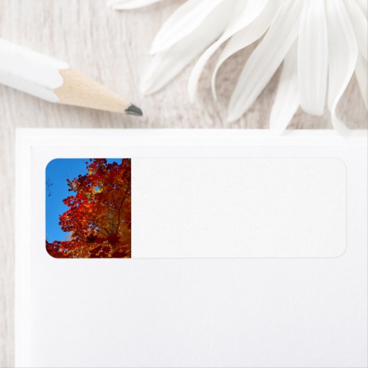 紅葉 ラベル (インサイチュ)