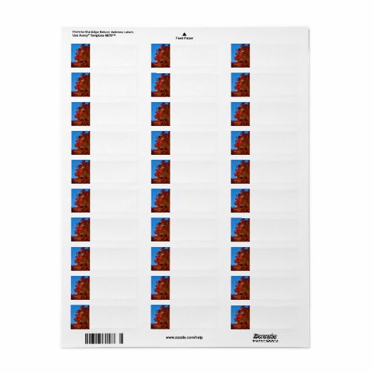 紅葉 ラベル (フルシート)