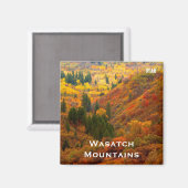 紅葉、ワサッチ山脈、ユタ州北部 マグネット (正面/裏面)