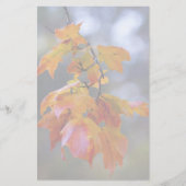 紅葉 便箋 (正面)